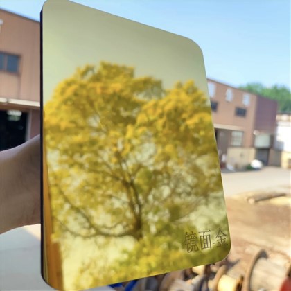 5 mm 8 mm tykkelse Bambus kull Kjæledyrspeil Metallfilmbrett Trefinerveggpanel